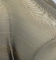 3D Large Flexi Dragon